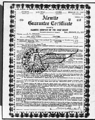 diplome ALEMITE